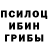Псилоцибиновые грибы мицелий Alex Luberetskiy