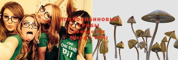 мет Богданович