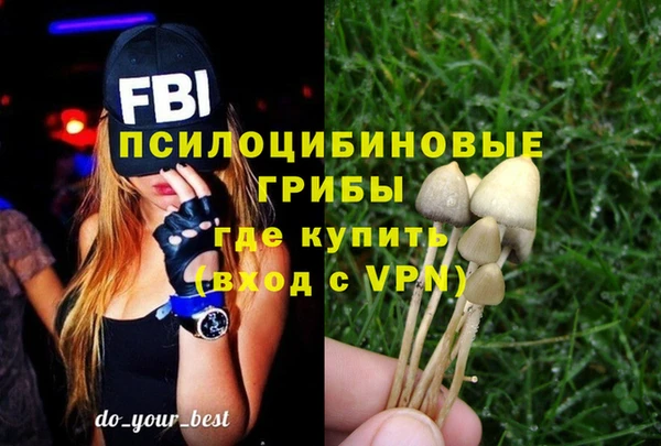 мет Богданович