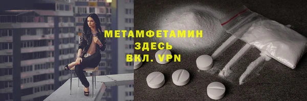 прущие грибы Рославль